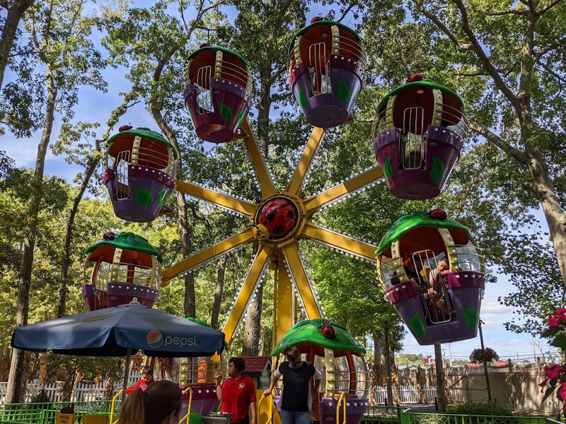 Perfect for a Wide Age Range — From Toddlers to Tweens