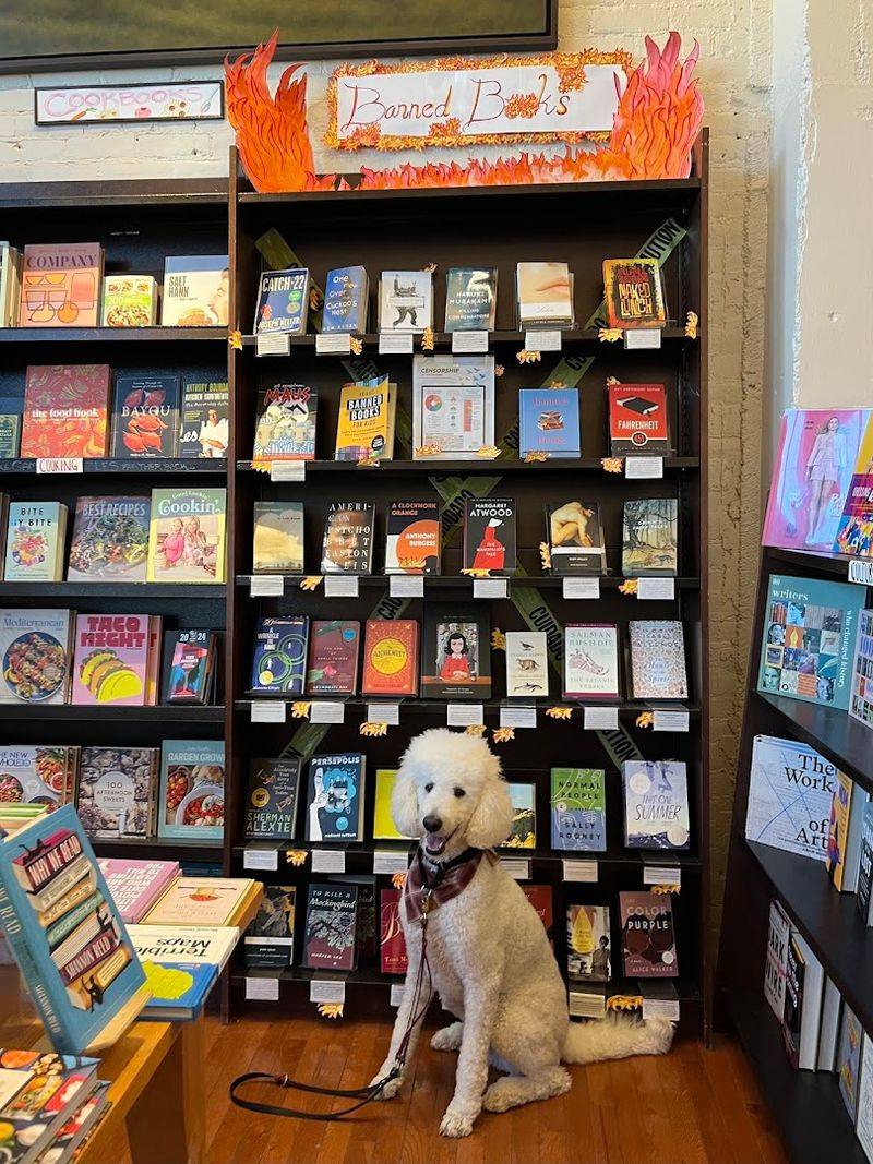 Pet-Friendly Atmosphere With a Legendary Store Dog