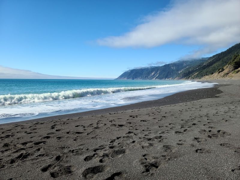 Pet-Friendly Fun on the Lost Coast Pet-Friendly Fun on the Lost Coast