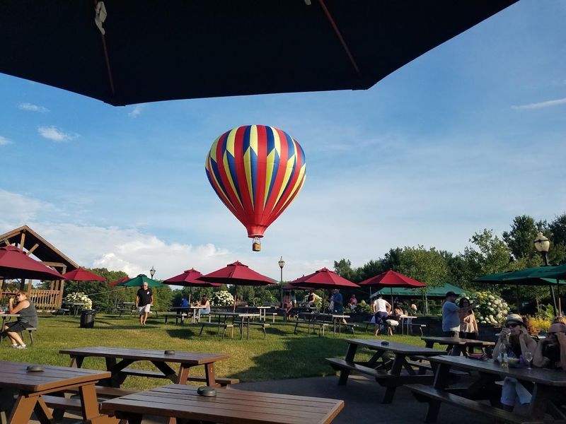 Pet-Friendly Grounds Perfect for a Dog Day Out