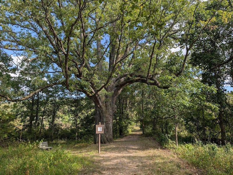 Pet-Friendly Park for Four-Legged Adventurers