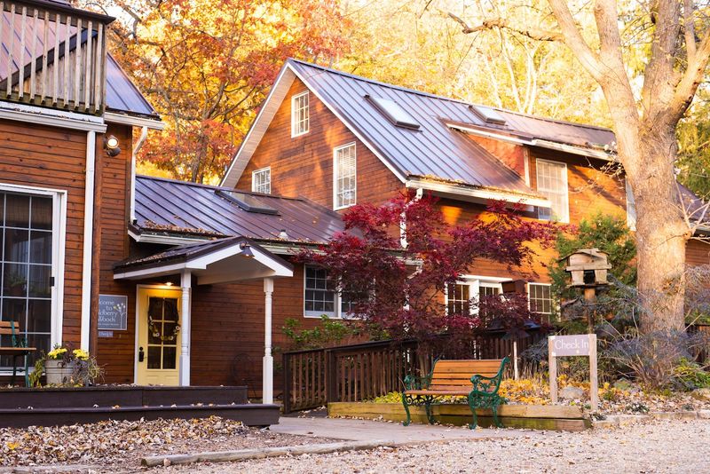 Pet-Friendly Stays That Welcome Your Dog Pet-Friendly Stays That Welcome Your Dog