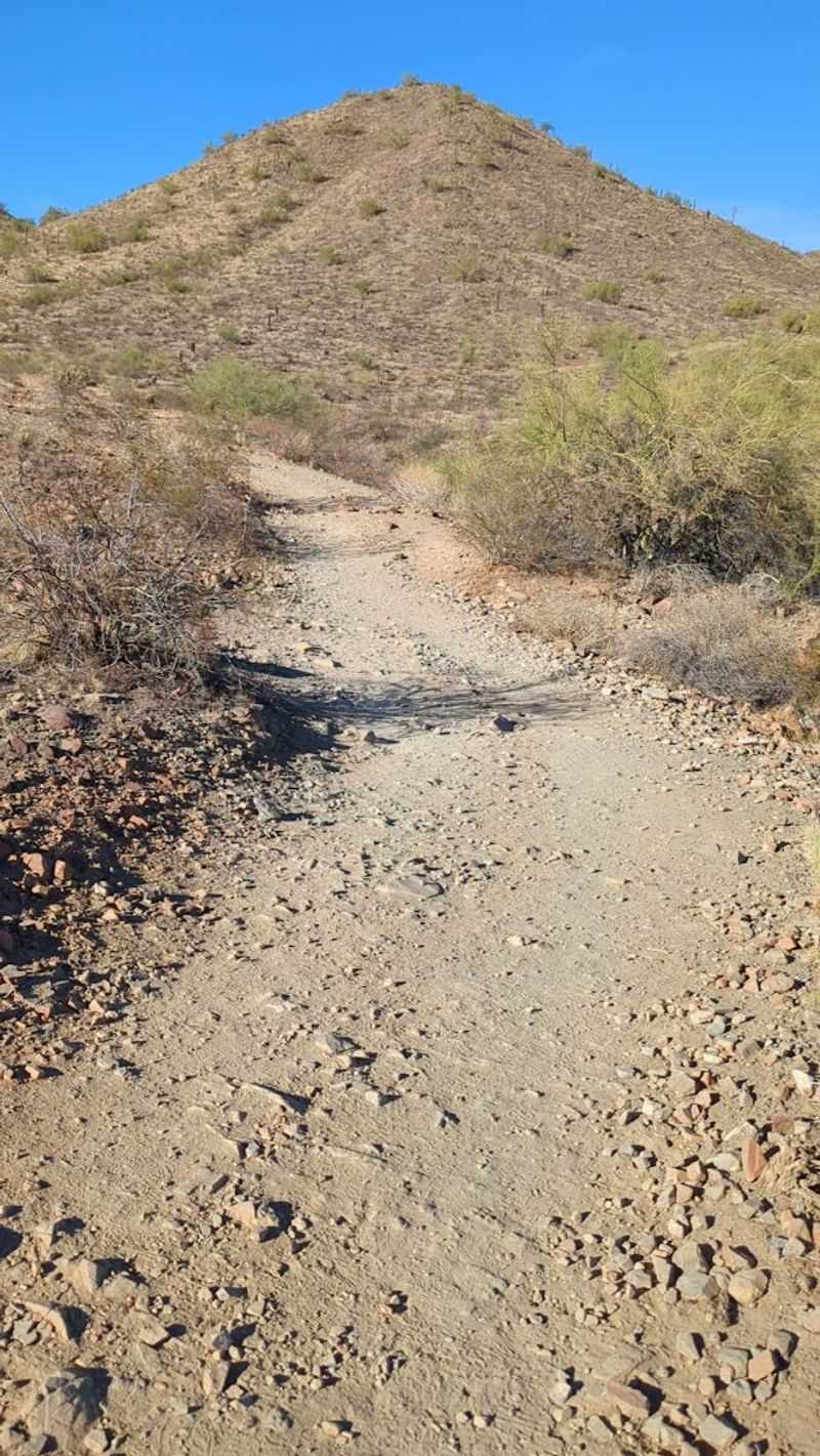 Pet-Friendly Trails for Your Four-Legged Companion