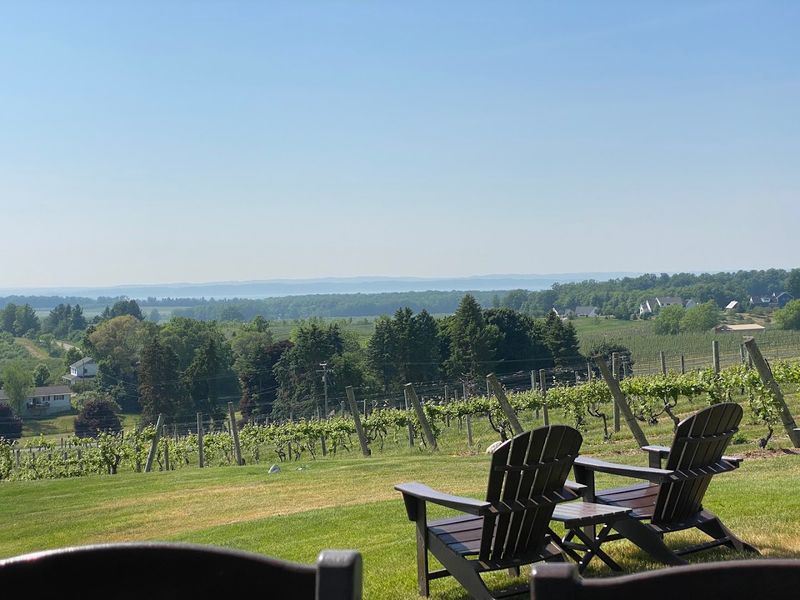 Pet-Friendly and Family-Welcoming Atmosphere