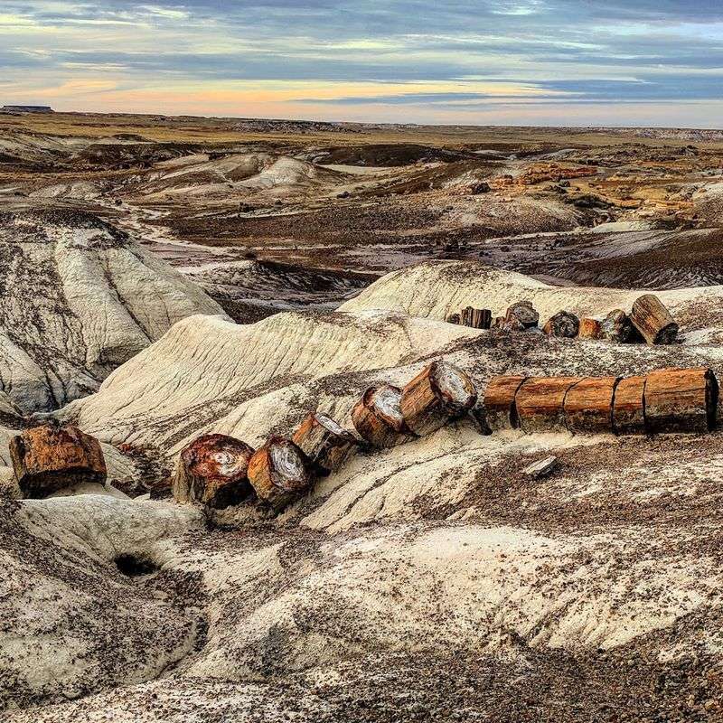 Petrified Forest National Park - Arizona