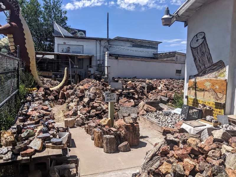 Petrified Wood Prices That Will Genuinely Surprise You Petrified Wood Prices That Will Genuinely Surprise You
