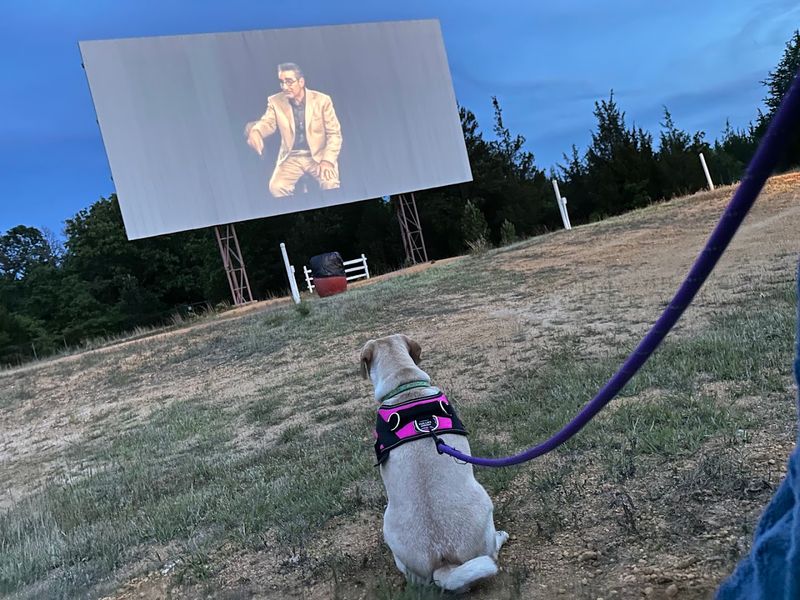 Pets Are Welcome — Bring the Whole Family Including the Dog