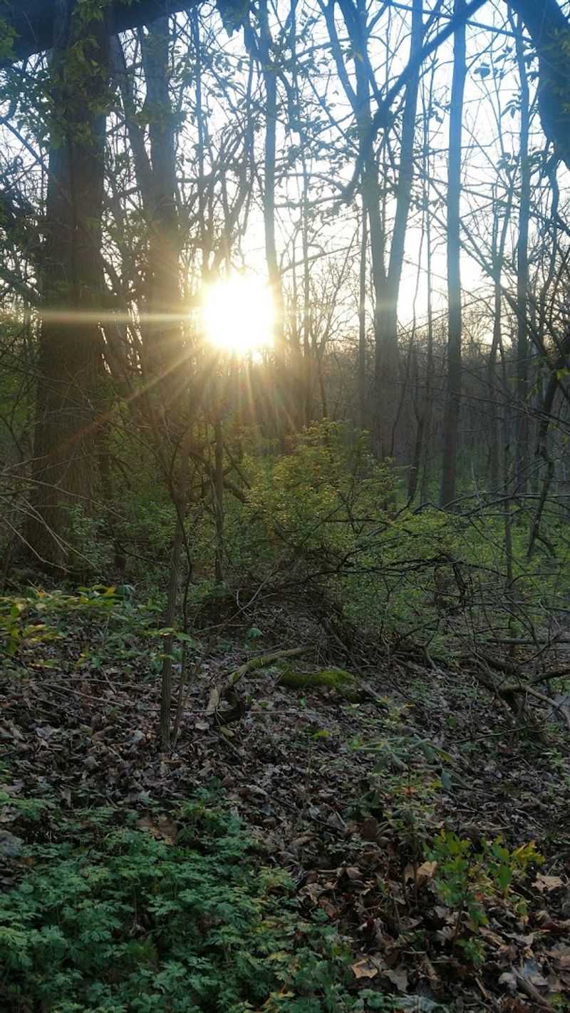 Pettibone Creek Trail