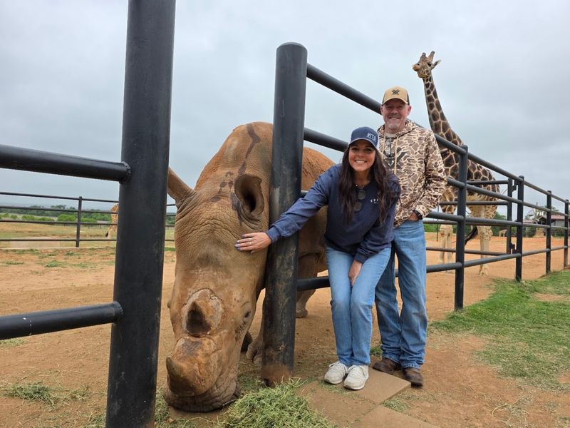 Petting a White Rhino: The Unexpected Star of the Show