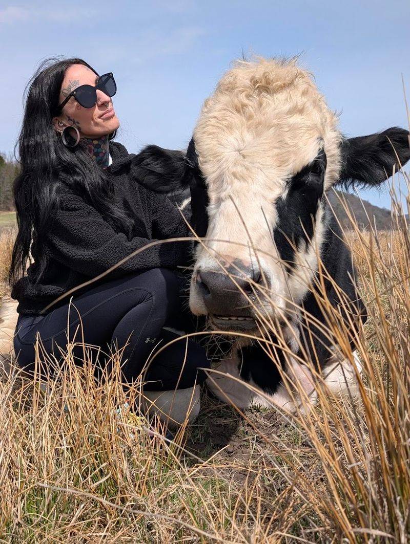 Petting and Feeding the Majestic Cows