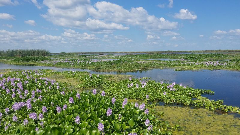 Photography Opportunities: A Landscape Built for Your Camera Photography Opportunities: A Landscape Built for Your Camera