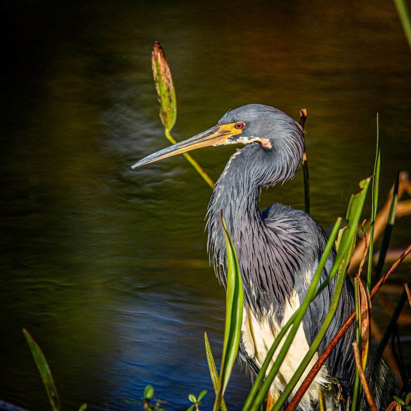 Photography Opportunities Around Every Corner