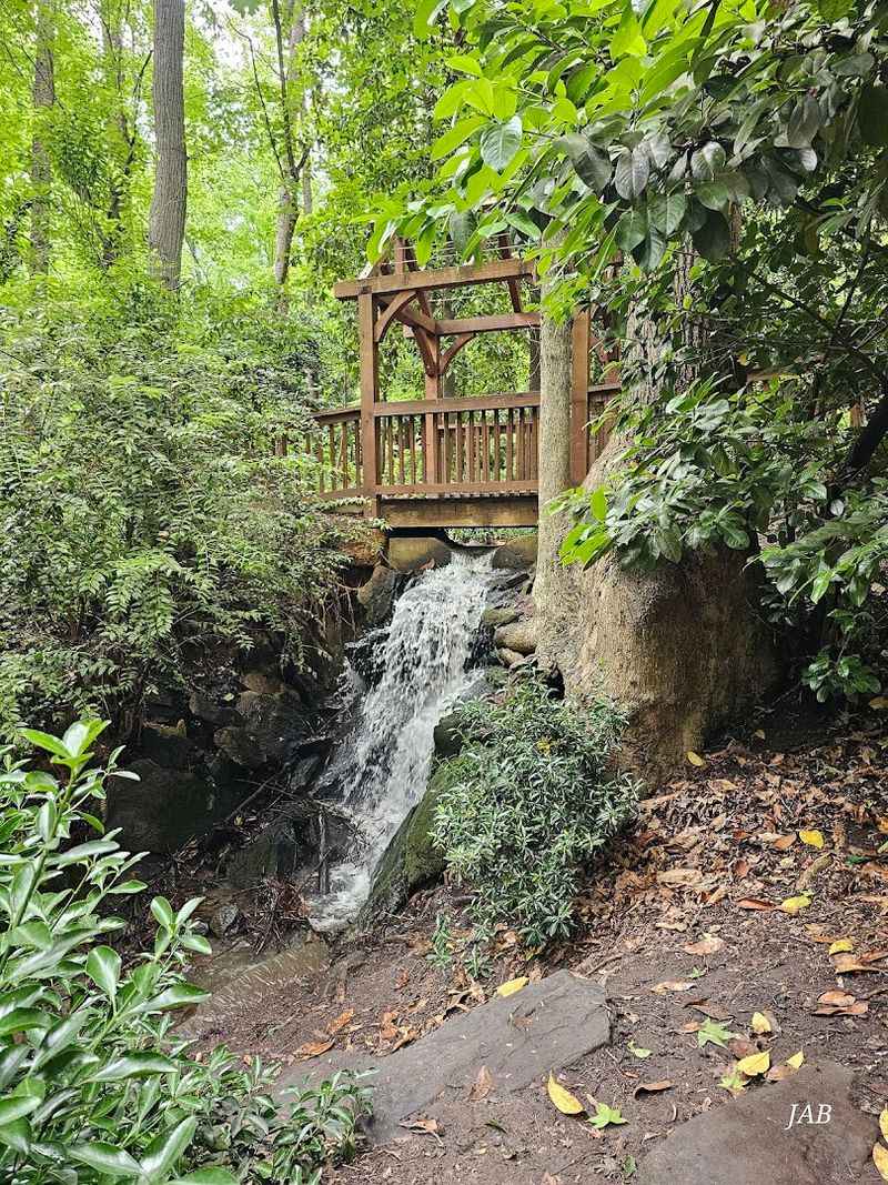 Photography Opportunities Around Every Corner of the Preserve