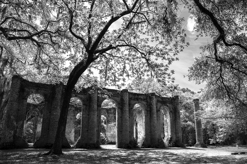 Photography Opportunities That Are Truly World-Class Photography Opportunities That Are Truly World-Class