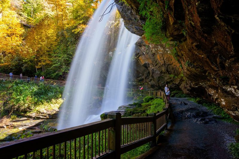 Photography Opportunities — Capturing the Magic