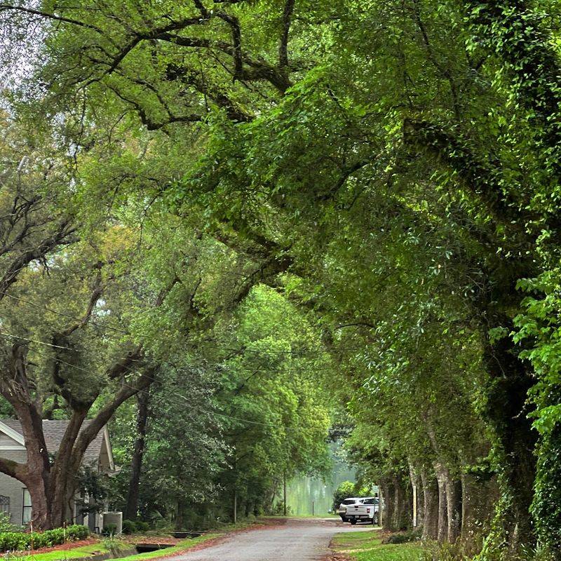Photography Paradise: Every Corner Begs to Be Captured Photography Paradise: Every Corner Begs to Be Captured