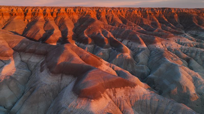 Photography Tips for Capturing the Colors