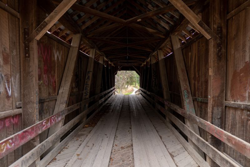 Photography Tips for Capturing the Perfect Shot