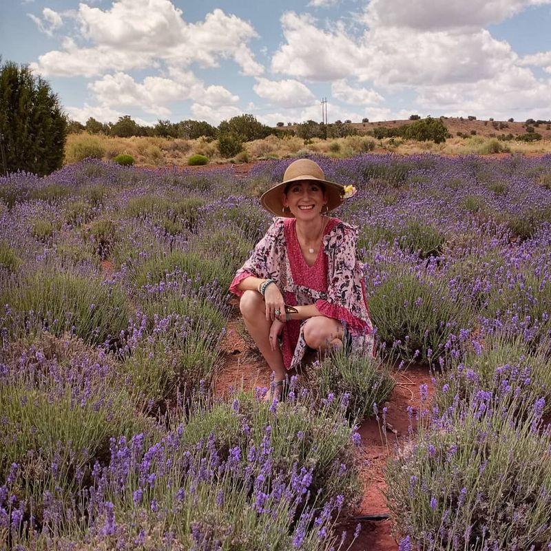 Pick-Your-Own Lavender Bouquets for a Personal Touch Pick-Your-Own Lavender Bouquets for a Personal Touch