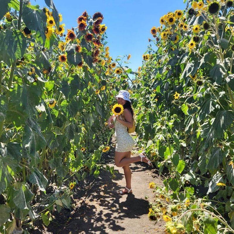 Picking Your Own Flowers Is Half the Fun