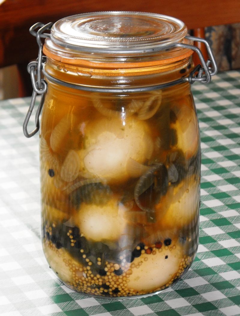 Pickled eggs