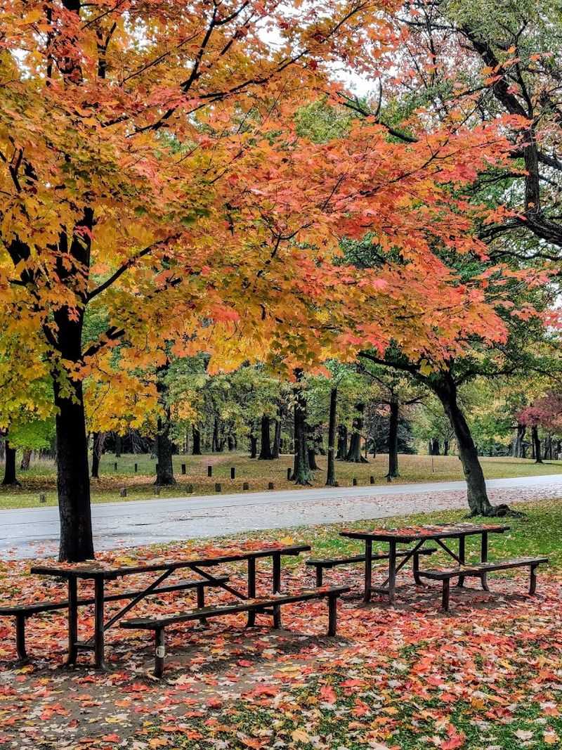 Picnic Areas, Pavilions, and Family Gathering Spaces Picnic Areas, Pavilions, and Family Gathering Spaces