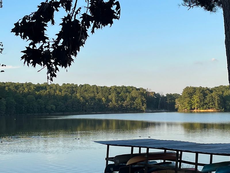 Picnic Areas Perfect for a Family Day Out