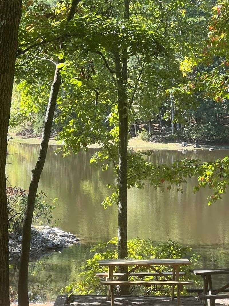 Picnic Areas Perfect for a Relaxed Family Day Picnic Areas Perfect for a Relaxed Family Day