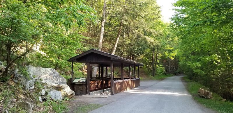 Picnic Areas Perfect for a Relaxing Afternoon