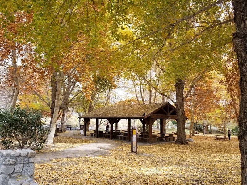 Picnic Areas Shaded and Ready for Relaxation
