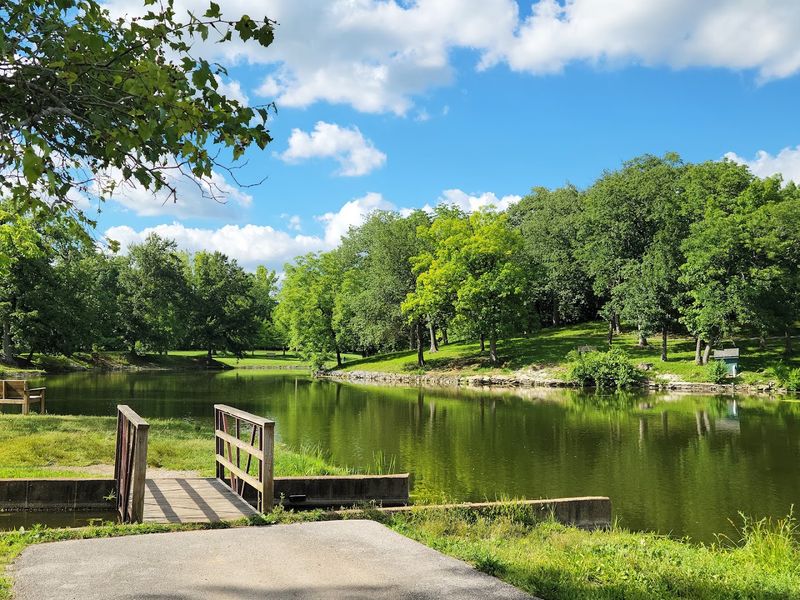 Picnic Areas Surrounded by Trees and Open Grass Picnic Areas Surrounded by Trees and Open Grass