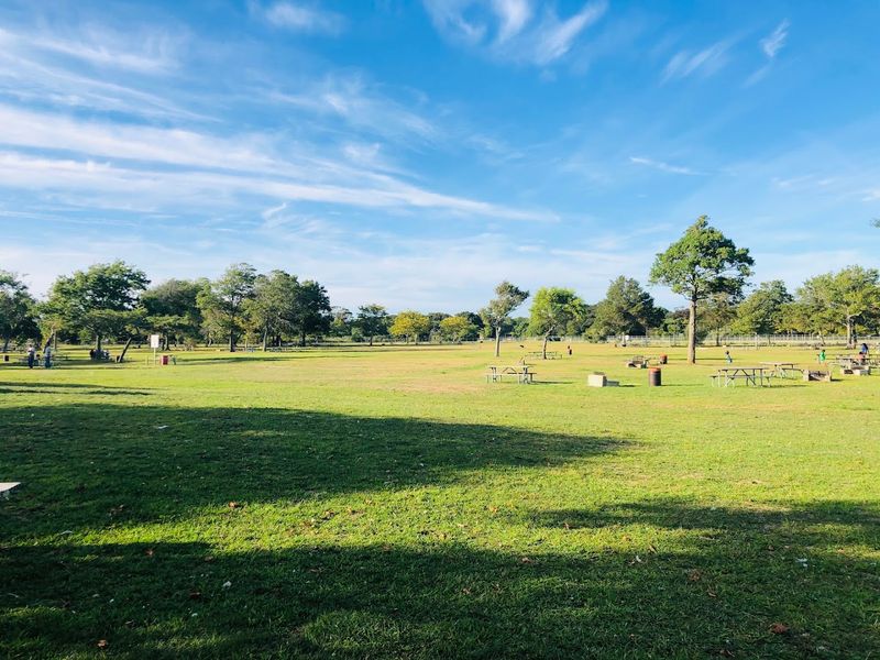 Picnic Areas With Grills That Are Made for Lazy Afternoons