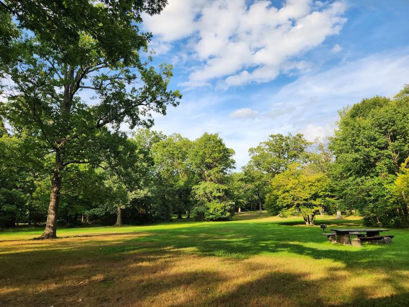 Picnic Areas and BBQ Pits: The Perfect Outdoor Lunch Spot