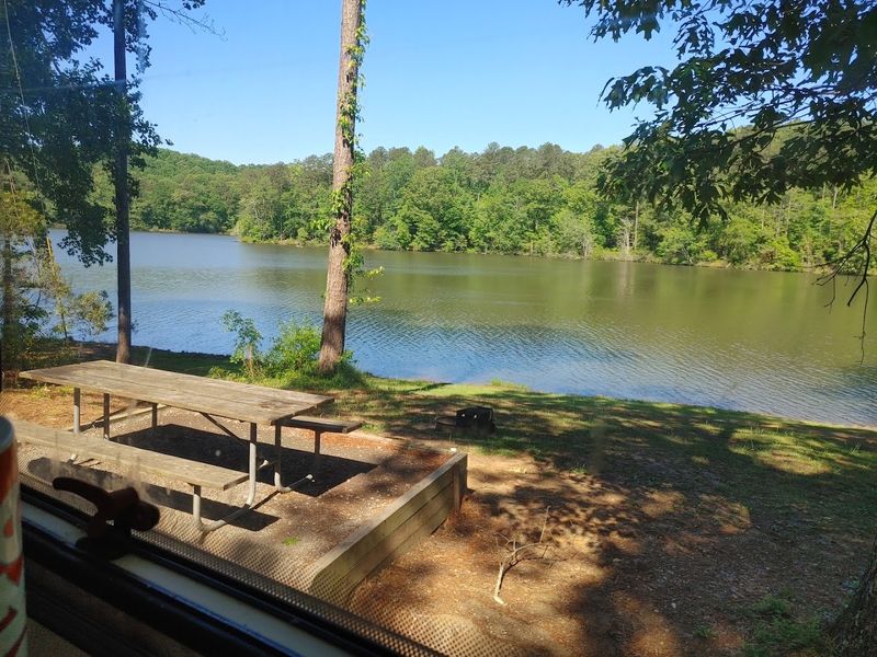 Picnic Areas and Pavilions Perfect for Family Gatherings Picnic Areas and Pavilions Perfect for Family Gatherings