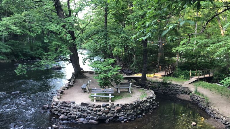 Picnic Spots That Feel Like a Scene From a Movie