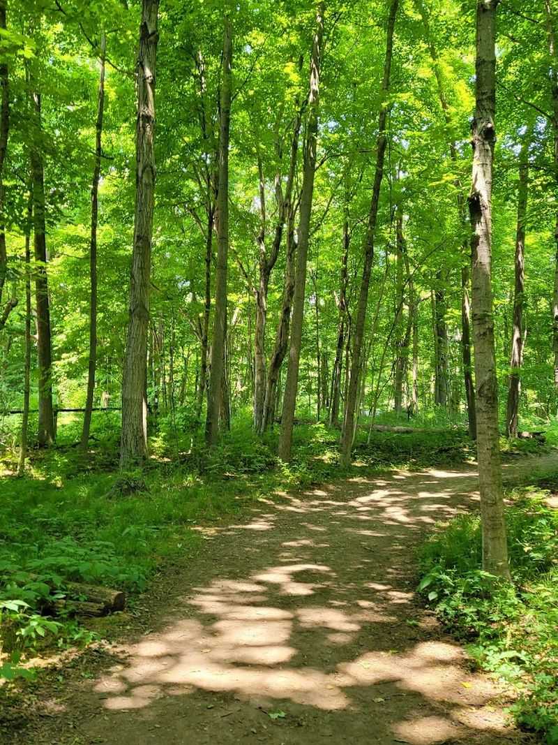 Picnic Spots That Make the Day Complete