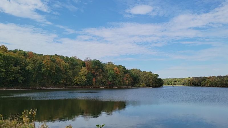 Picnic Spots With Jaw-Dropping Lake Views
