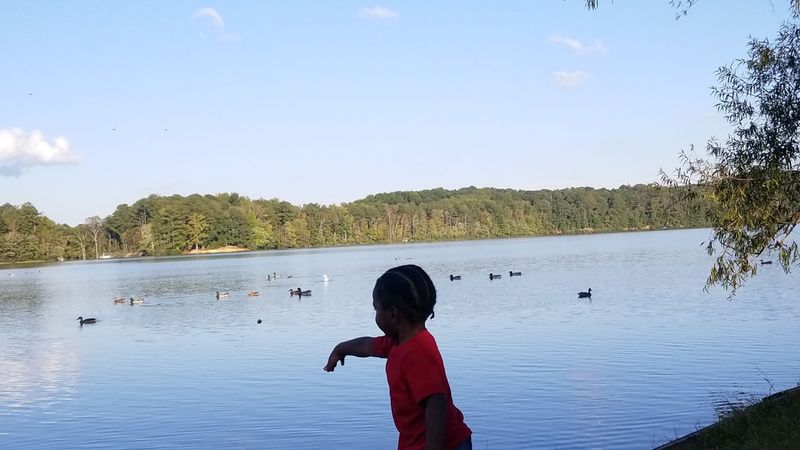 Picnicking, Fishing, And Family Fun: A Full Day Out Picnicking, Fishing, And Family Fun: A Full Day Out