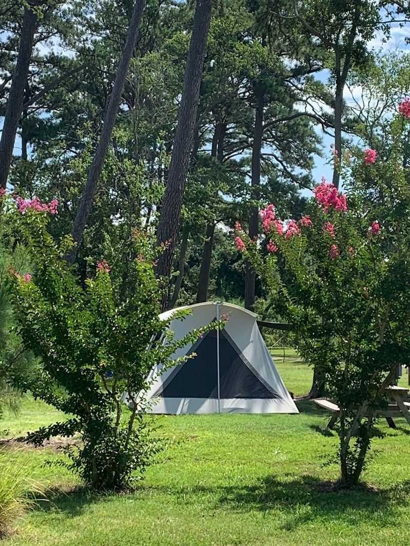 Pine Grove Campground - Chincoteague, Virginia