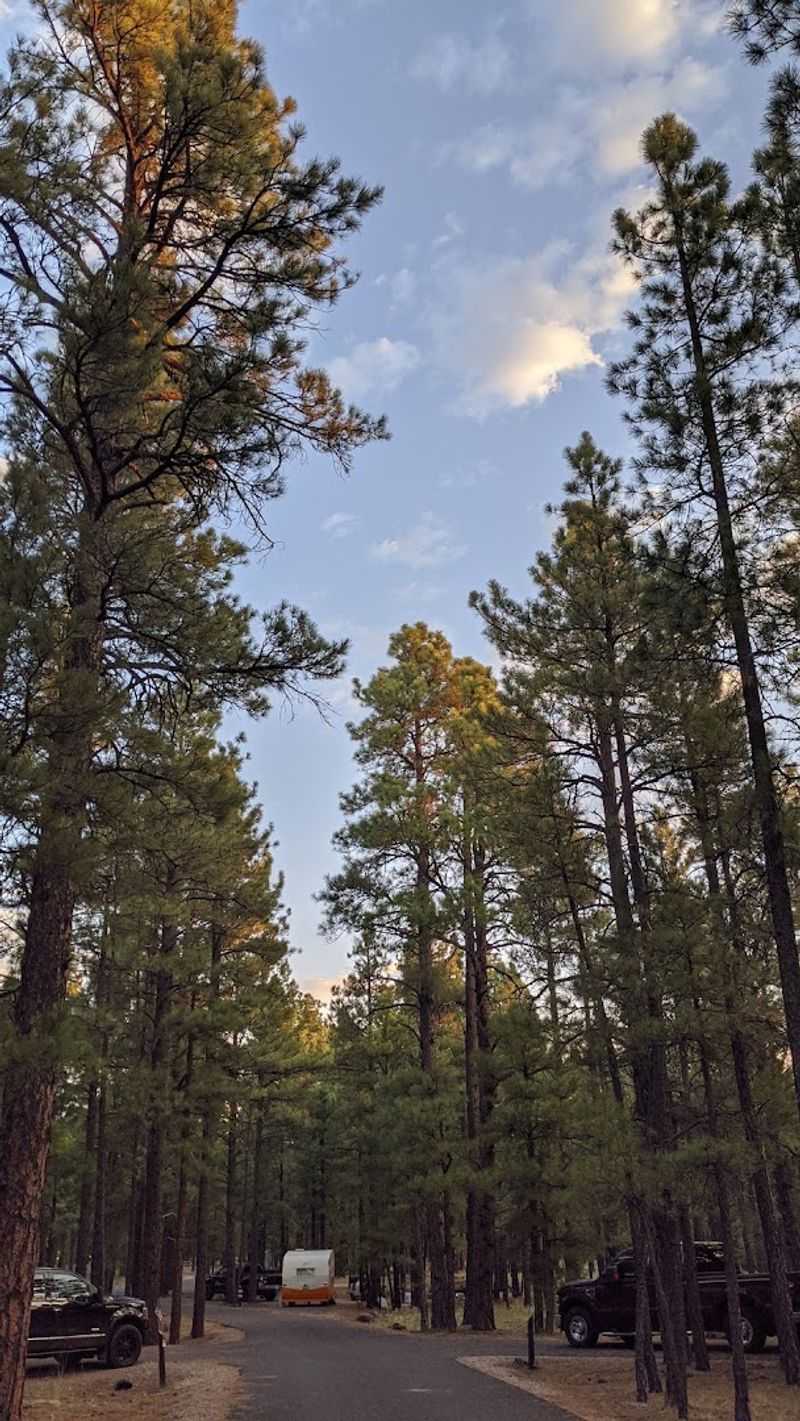Pine Grove Campground - Prescott National Forest, Arizona