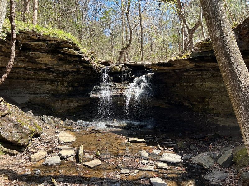 Pine River Trail for Outdoor Lovers
