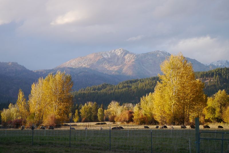 Pine Valley, the Stunning Natural Backdrop Pine Valley, the Stunning Natural Backdrop