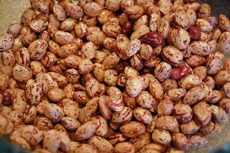 Pinto beans Pinto beans