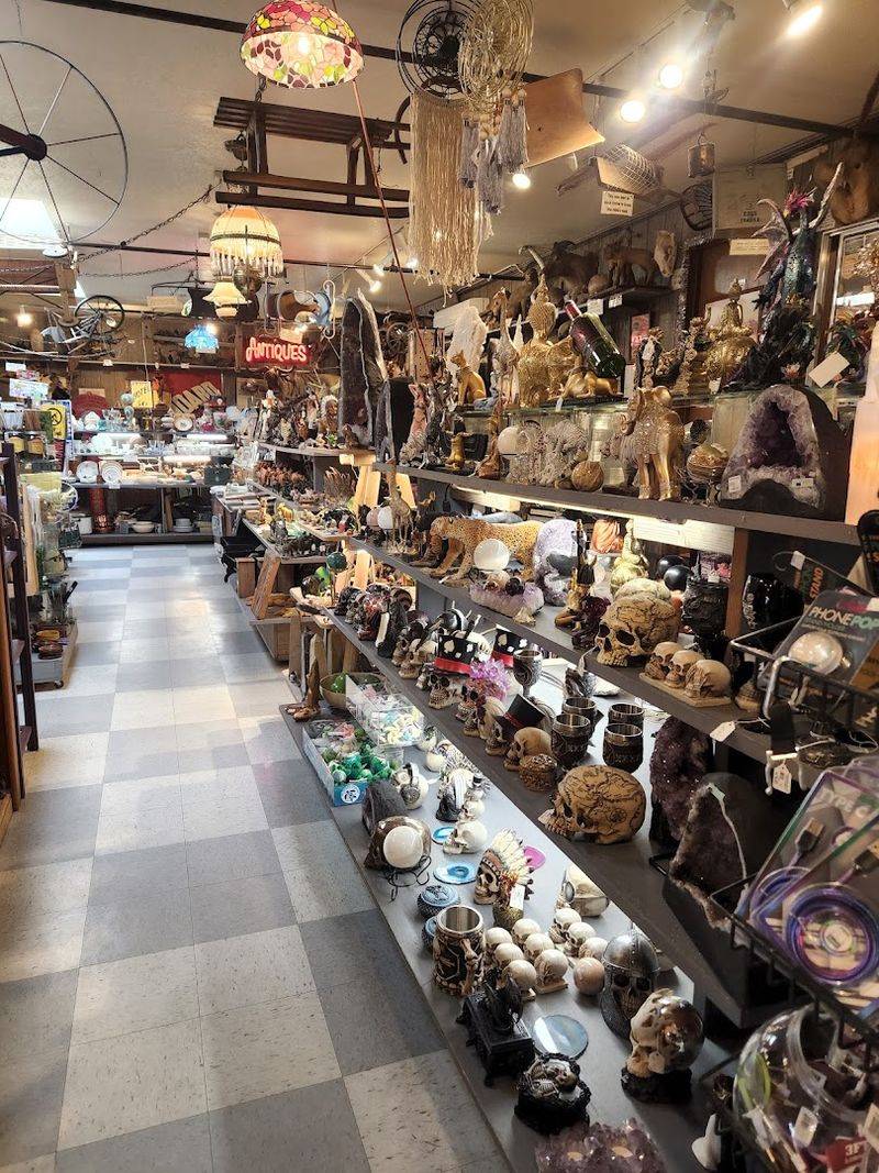 Plan Your Visit: Hours, Location, and What to Expect