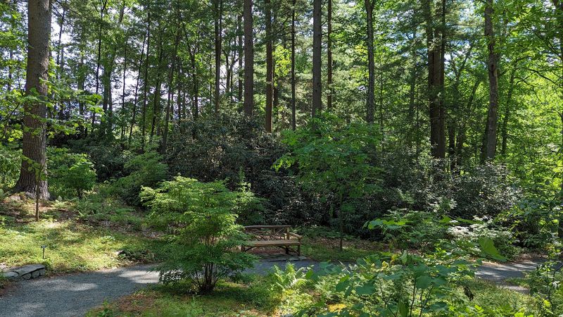Plan Your Visit: Hours, Location, and What to Know Before You Go