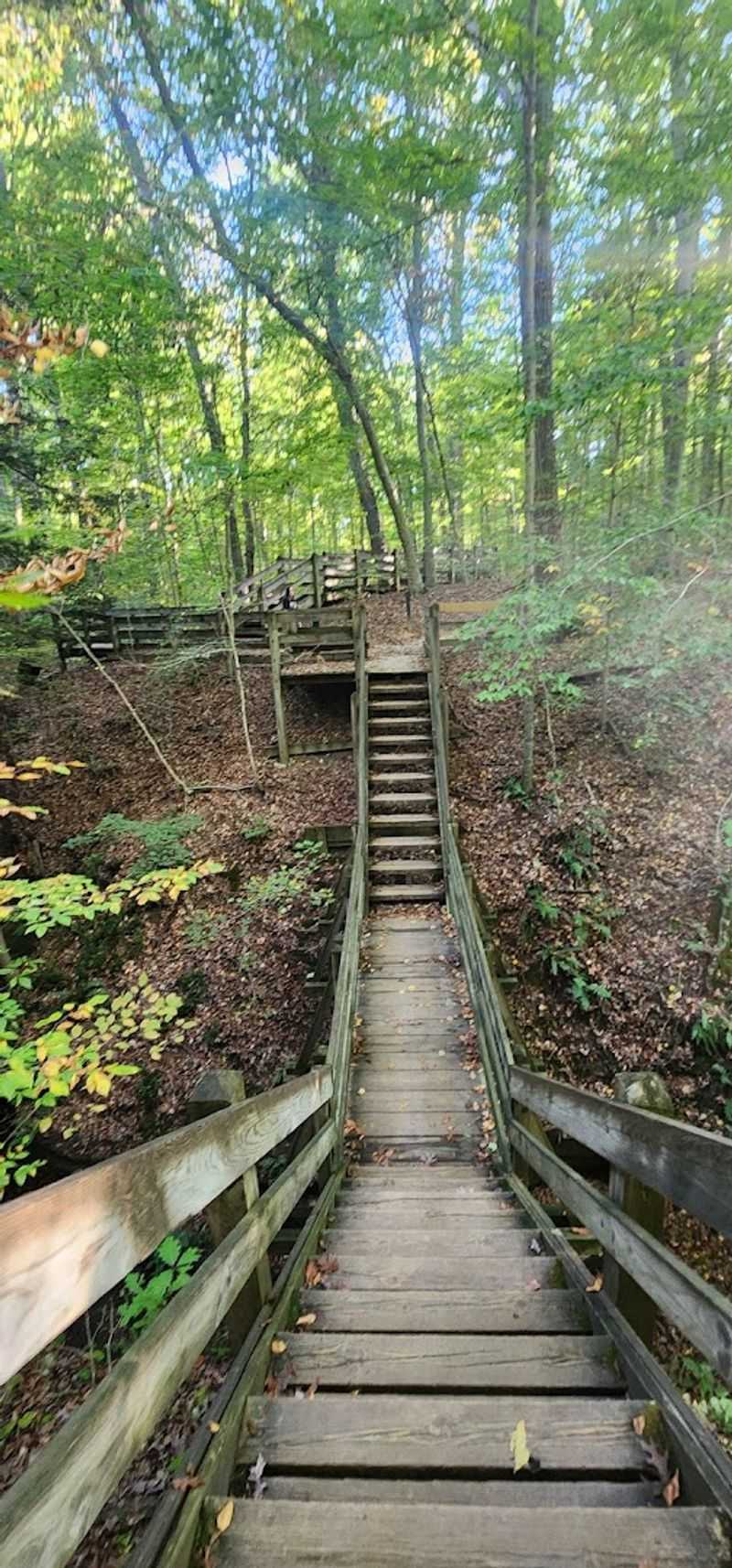 Planning Your Perfect Visit to Shades State Park Planning Your Perfect Visit to Shades State Park