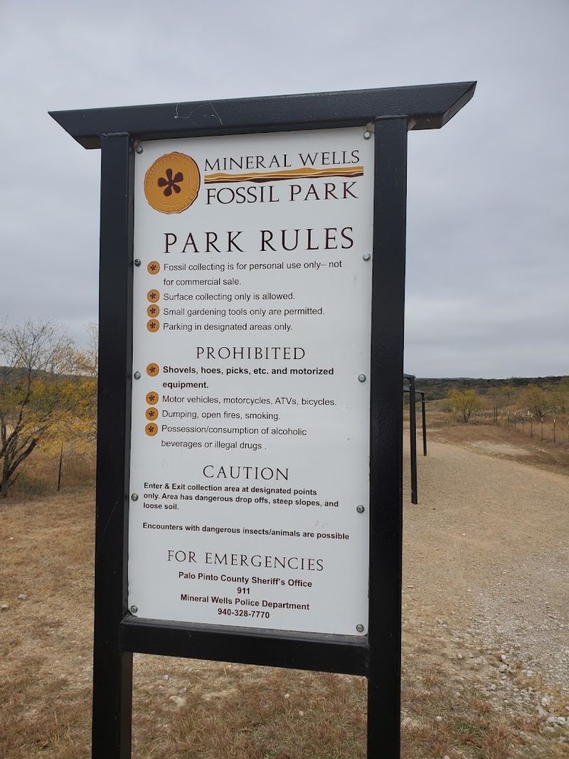 Planning Your Visit: Hours, Contact, and Practical Details