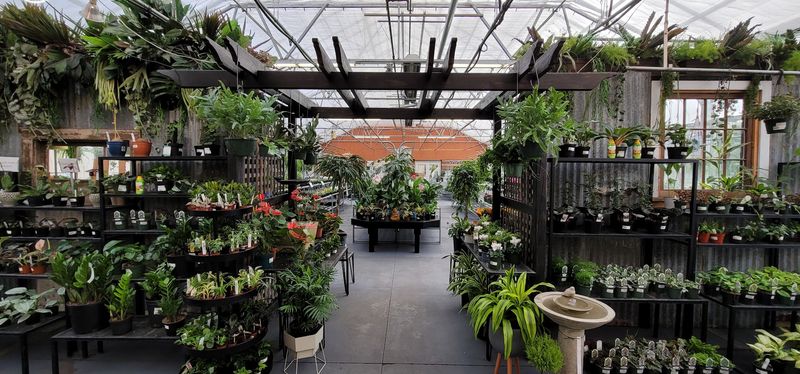 Plant Selection That Will Make Your Head Spin