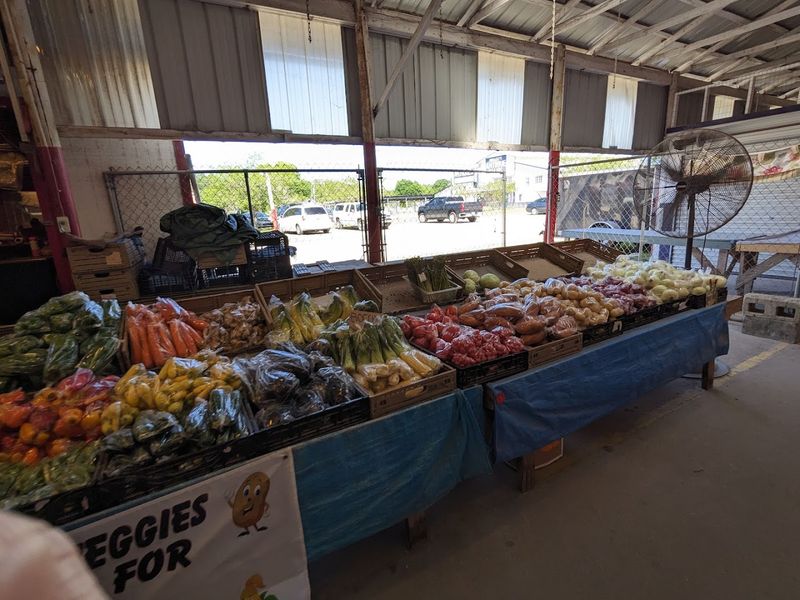 Plant Vendors and Garden Finds