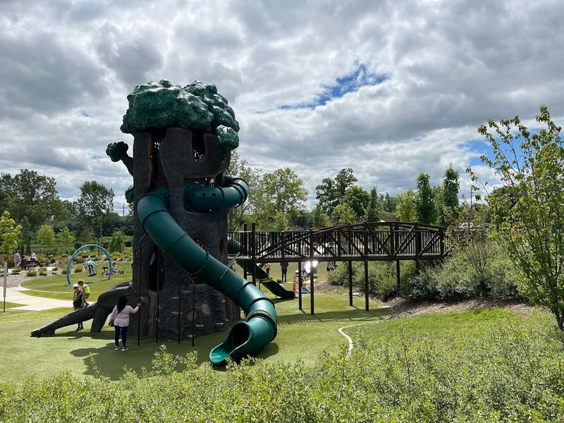 Play Areas Designed for All Ages and Abilities
